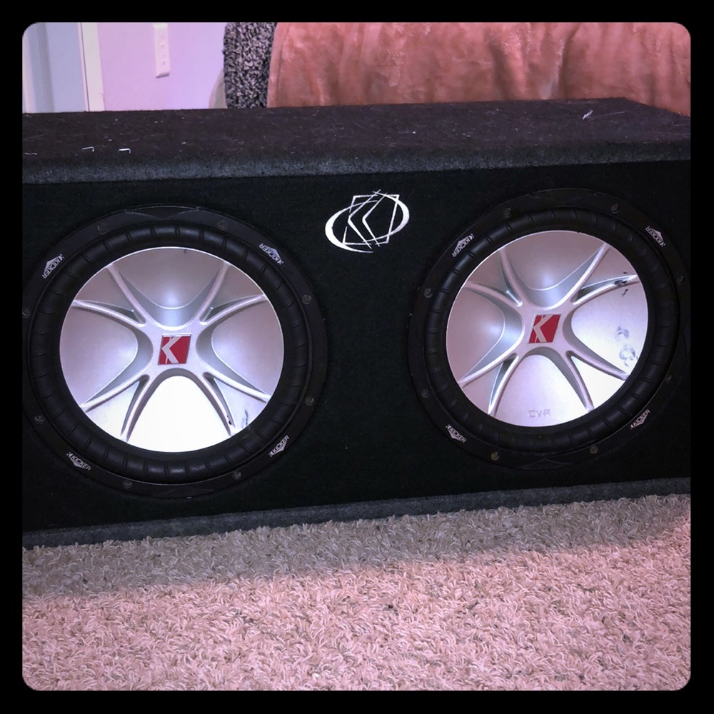 Two 12 inch subs, in great condition